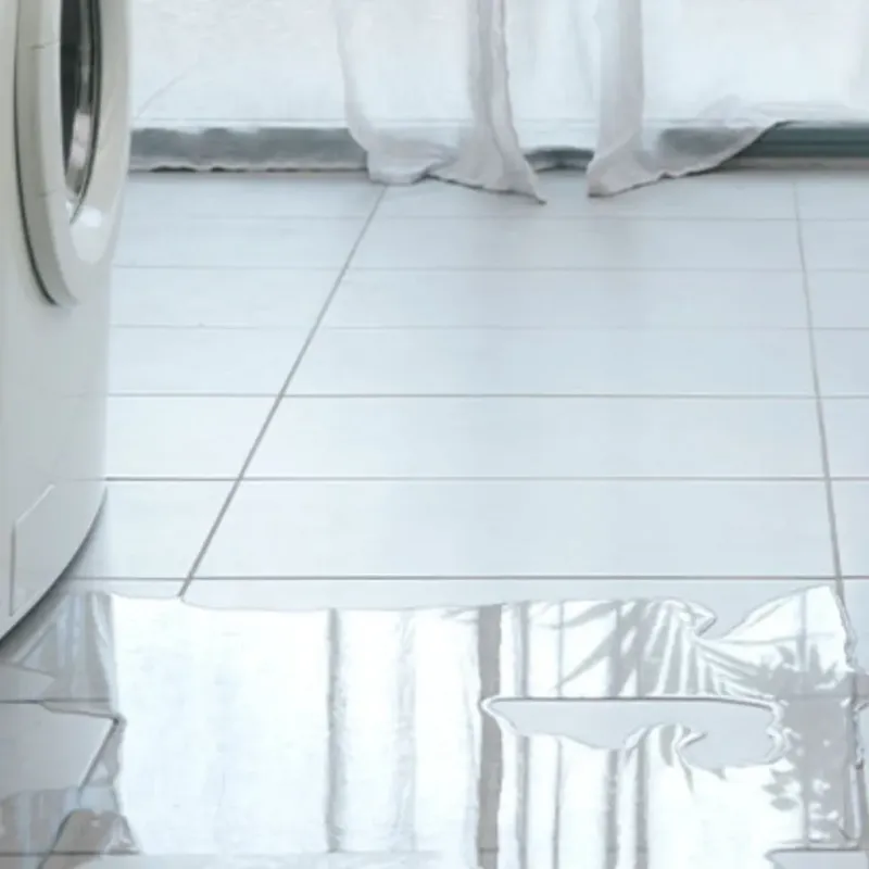 Appliance Leak Cleanup in Twin Lakes, FL