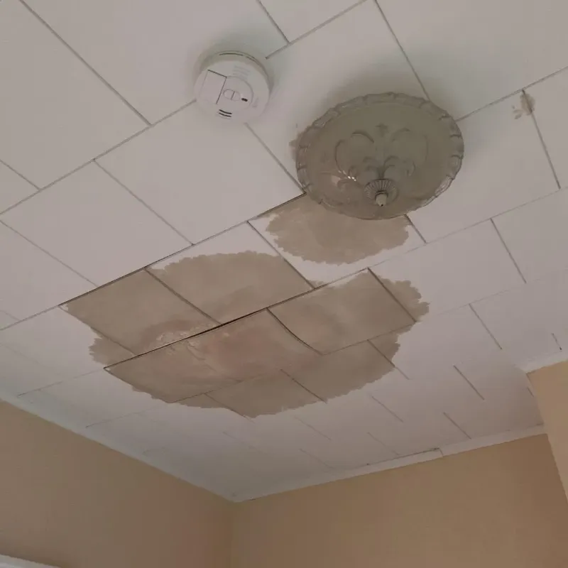 Ceiling Water Damage Repair in Twin Lakes, FL