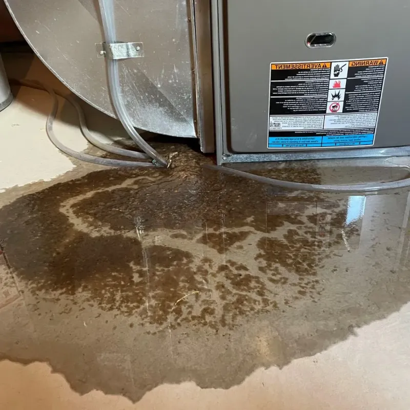 Pipe Burst and Leak Restoration in Twin Lakes, FL