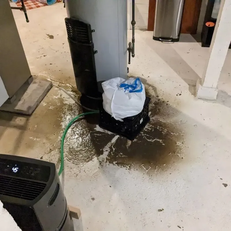 Sewage Backup Cleanup Service in Twin Lakes, FL